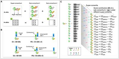 Bottom-up construction and screening of algae-bacteria consortia for pollutant biodegradation